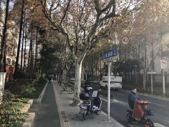 的大学路,四平路-五角场环岛的银杏景色路,美食一条街国济路…最近