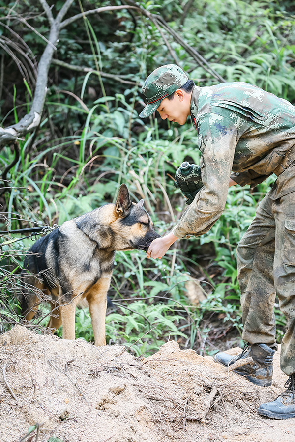 《奇兵神犬》野外追捕战惊险展开 杨烁受散光困扰