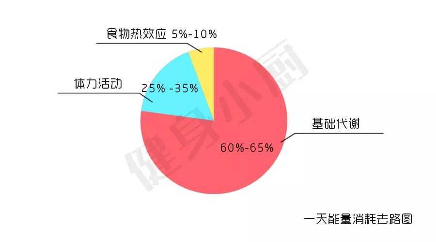 每日消耗总热量=基础代谢 活动(运动健身)消耗热量 食物热效应