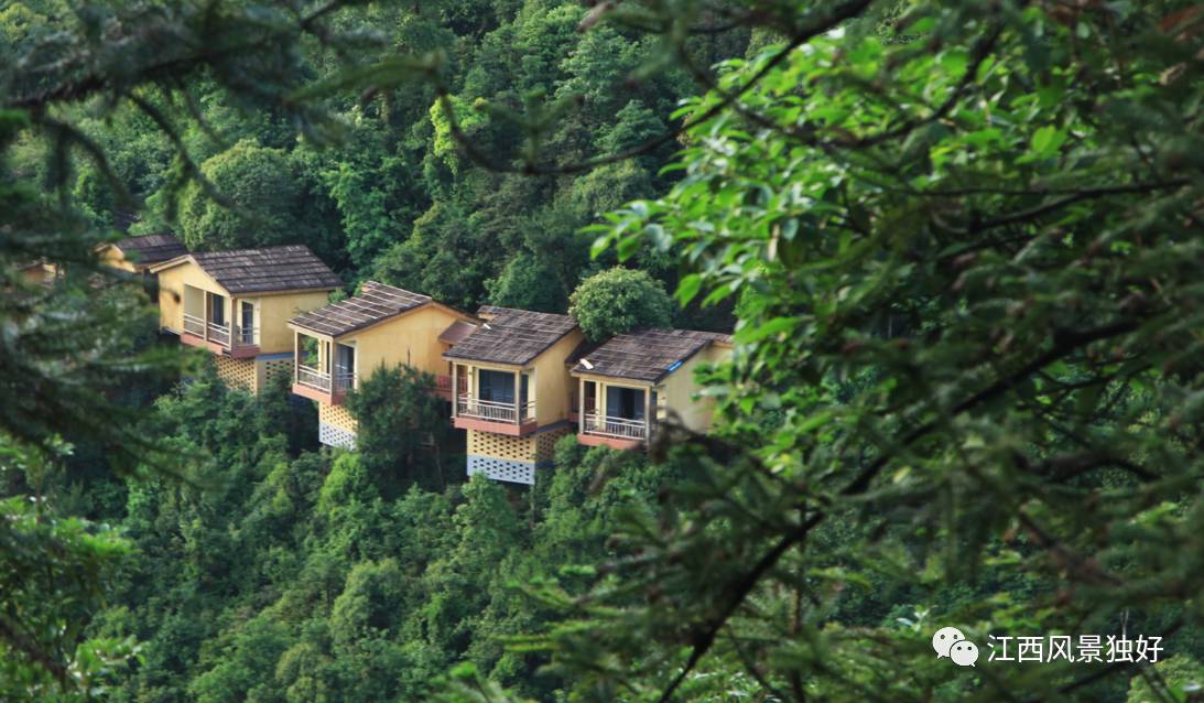 大余丫山民宿 4.提高山水旅游景区运营水平