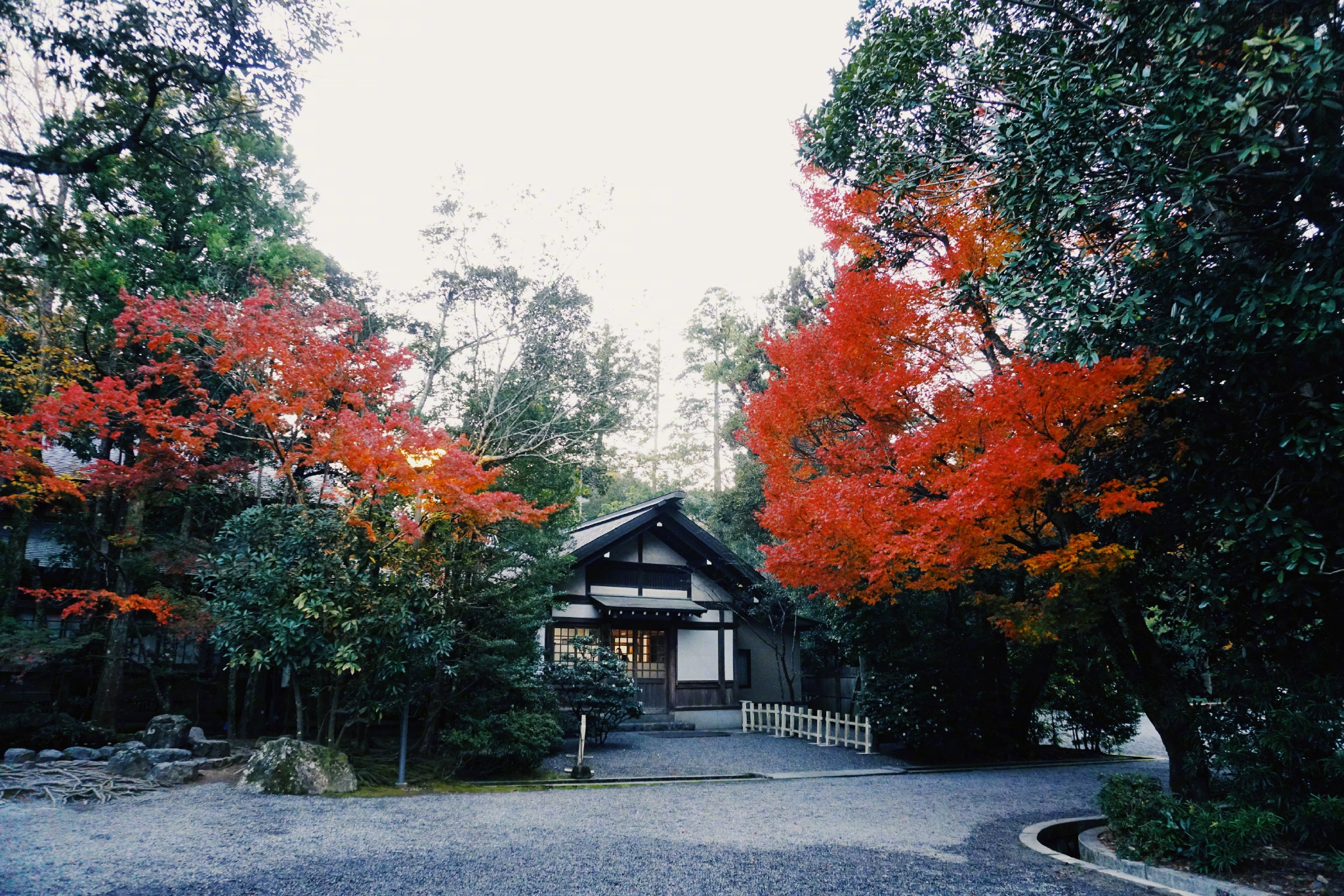 这里就是伊势神宫了,伊势神宫住着日本最大的神—太阳神!