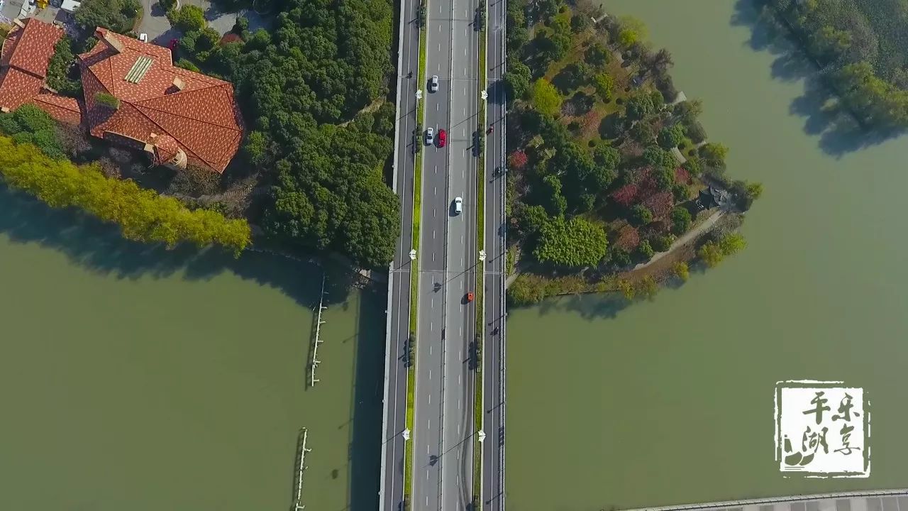 【平湖好风景】不少平湖人每天上下班都要经过的桥,别忽视了它的美!