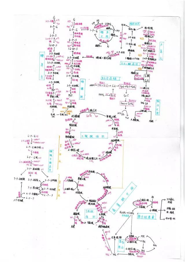 生物科学与工程学院首届生物化学制图大赛