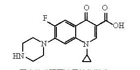 每日一药--盐酸环丙沙星(12.20)