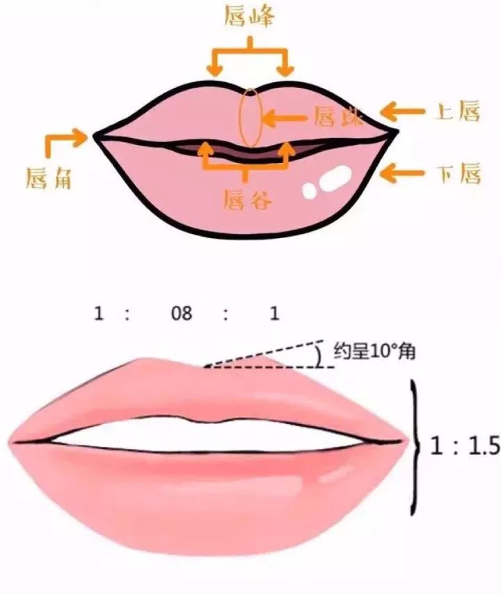 并不是与标准唇形一模一样才是美,只是参考范畴喔