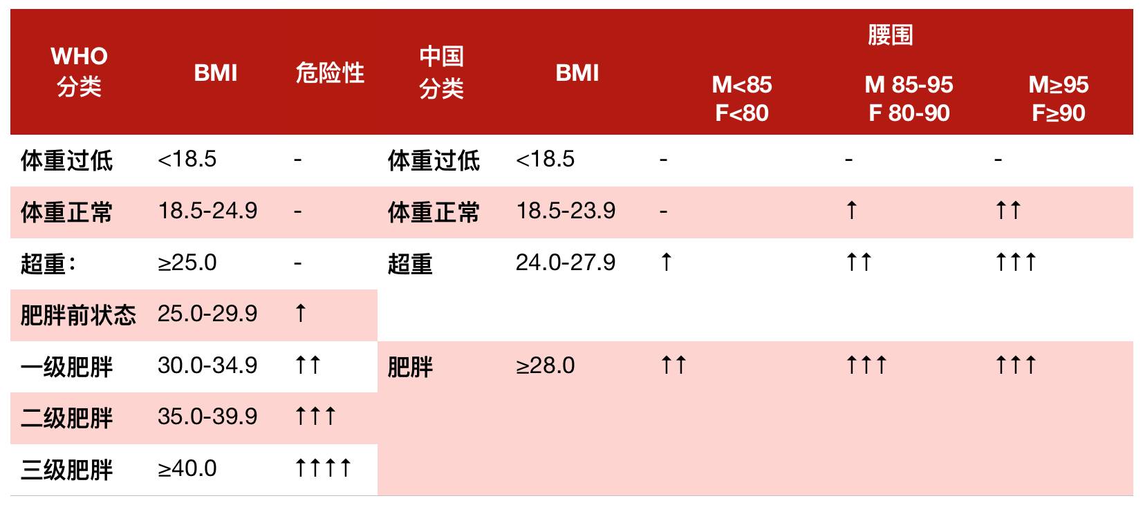 中国肥胖人口统计_中国肥胖人口占比图