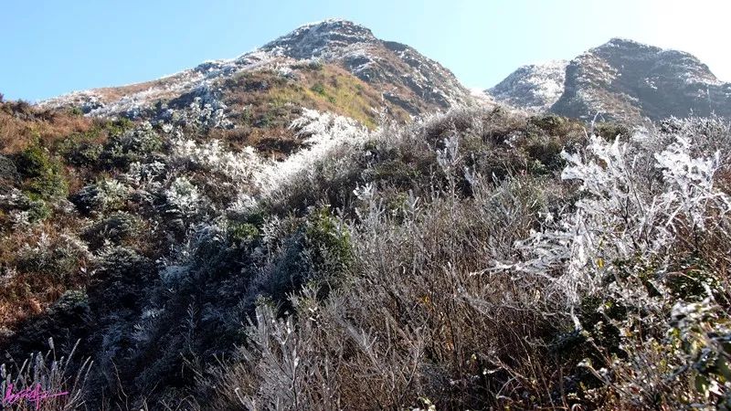 生辉最高峰海拔1433米地处安仁县金紫仙镇金紫仙村(原豪山乡金花村)