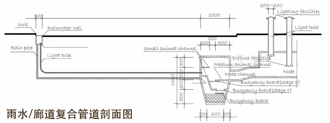 雨水,廊道复合管道剖面图08郝梦,刘骥,邓添星,刘捷,史尤佳透视图