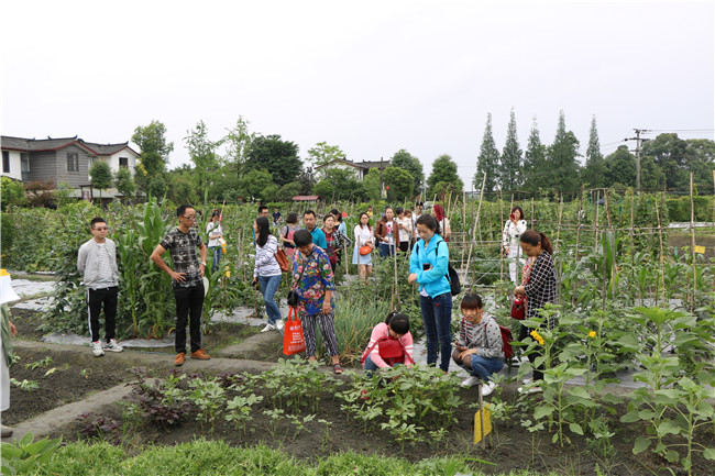 30平土地一年使用权免费送!郫都现实版qq农场,名额有限快来报名!