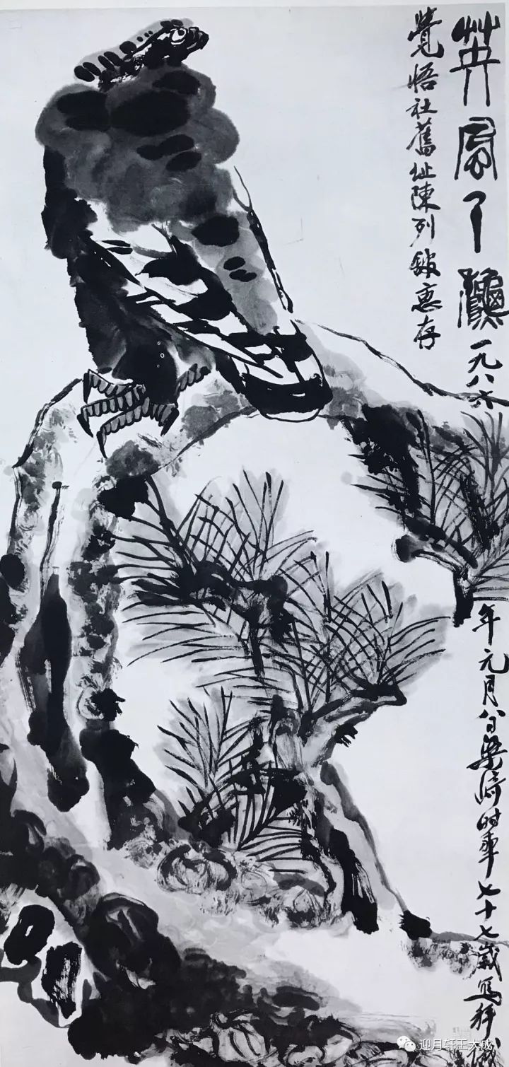 梁崎花鸟画大集合