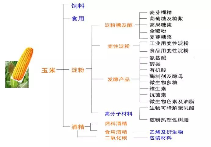 渤生课堂玉米深加工业