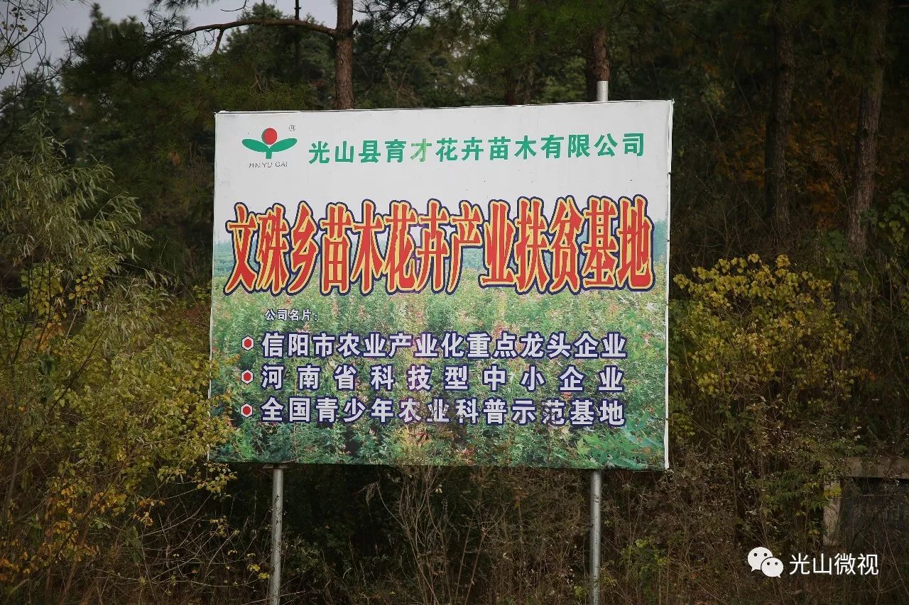 光山邹棚人口_河南光山净居寺