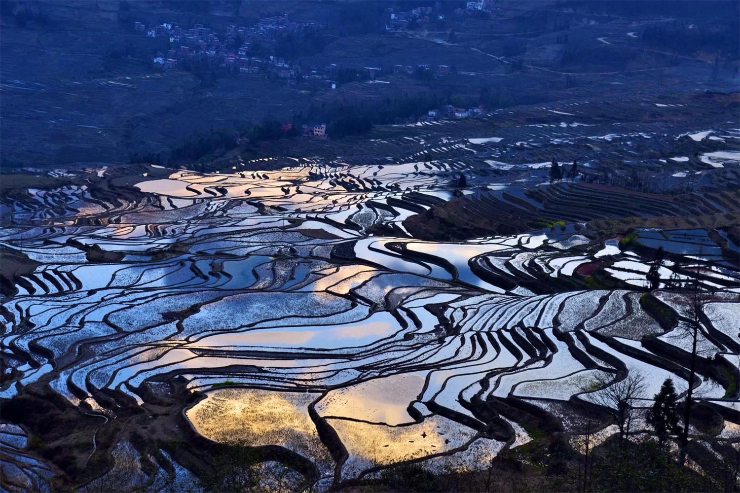 2/17 3/2滇东深度游 元阳梯田,建水,碧色寨,坝美,普者黑,罗平油菜花