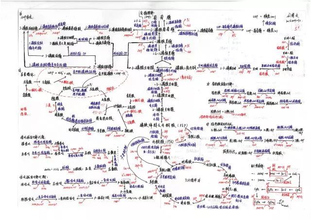 投 票环节 选出你喜欢的 哪一张代谢图能让你爱上生化?