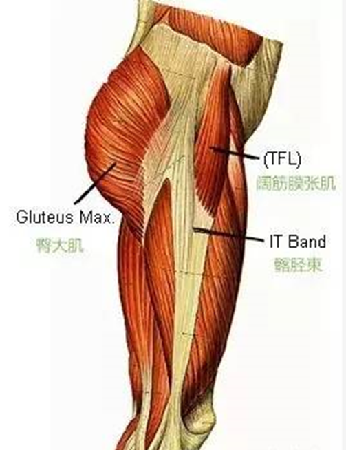 髂胫束综合征的运动康复