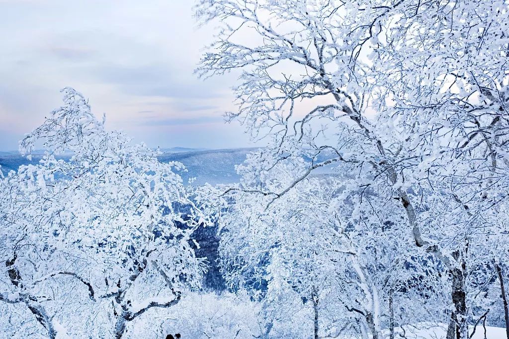 冬季去哪儿玩?陕西最美雪景在这里!