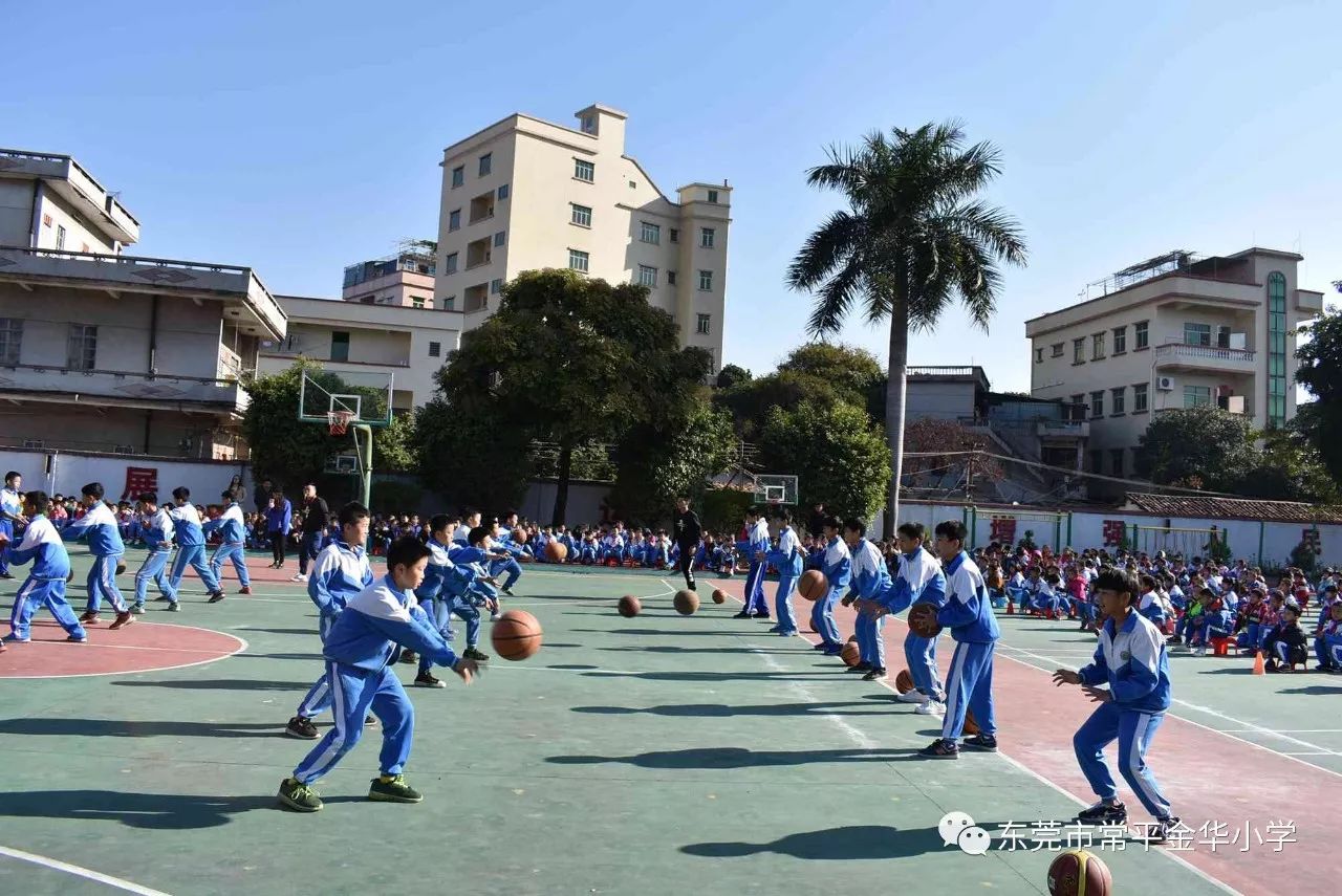 "林书豪—李群篮球联盟"东莞篮球学校教练团队莅临金华小学指导标准化