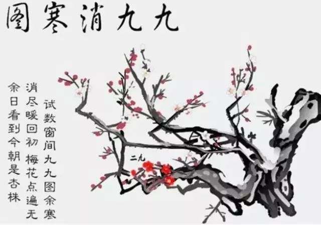 节气| 冬至已至,阳生春又来