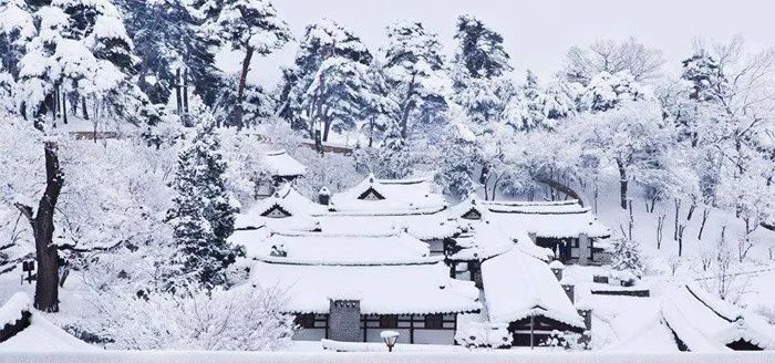 冬至日独游吉祥寺