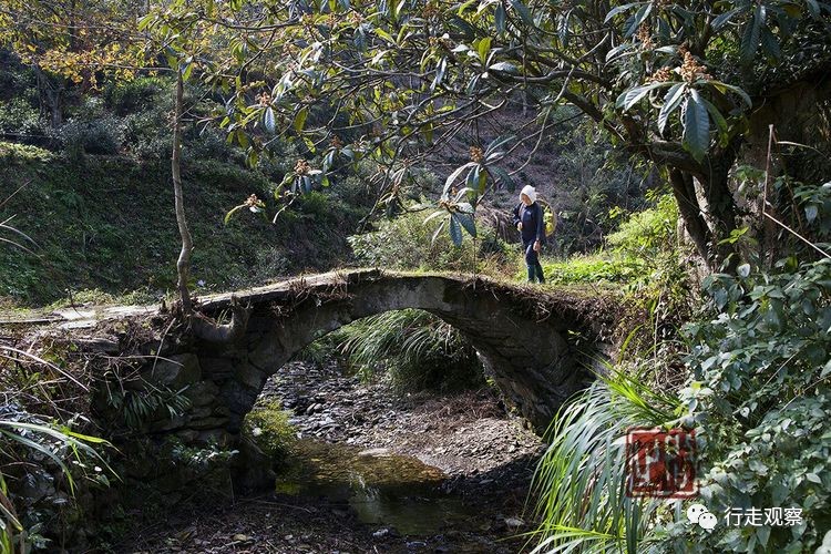 休宁境内藏有百余座石拱桥,每一座都流淌着百年传奇故事