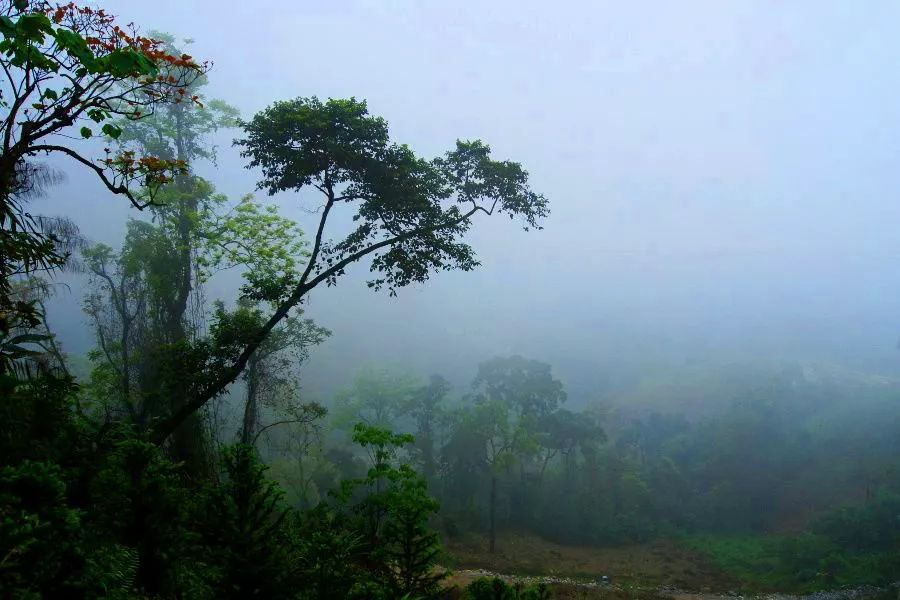 寒山僧踪简谱_寒山踪僧洞箫简谱(3)