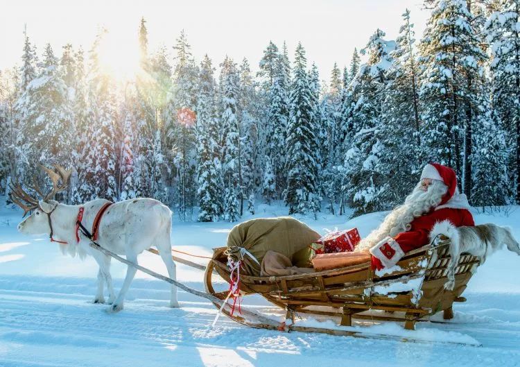 版权归原     知道真相的你,是否也想拥有一辆圣诞老人同款的驯鹿雪橇