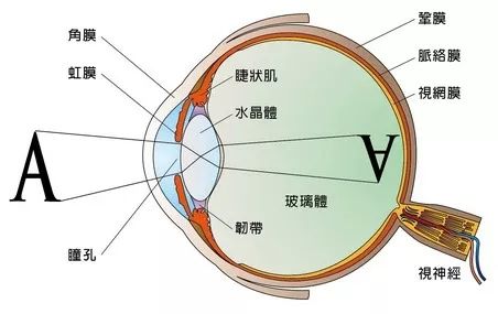 做眼睛近视手术的原理_做近视手术前必须要做眼部检查,医生根据检查的结果,评估你是否适合