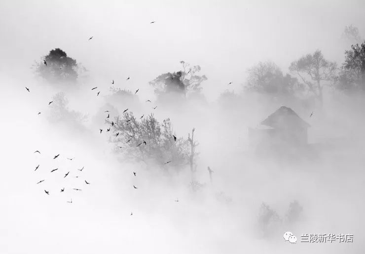 《唐多令·芦叶满汀洲》