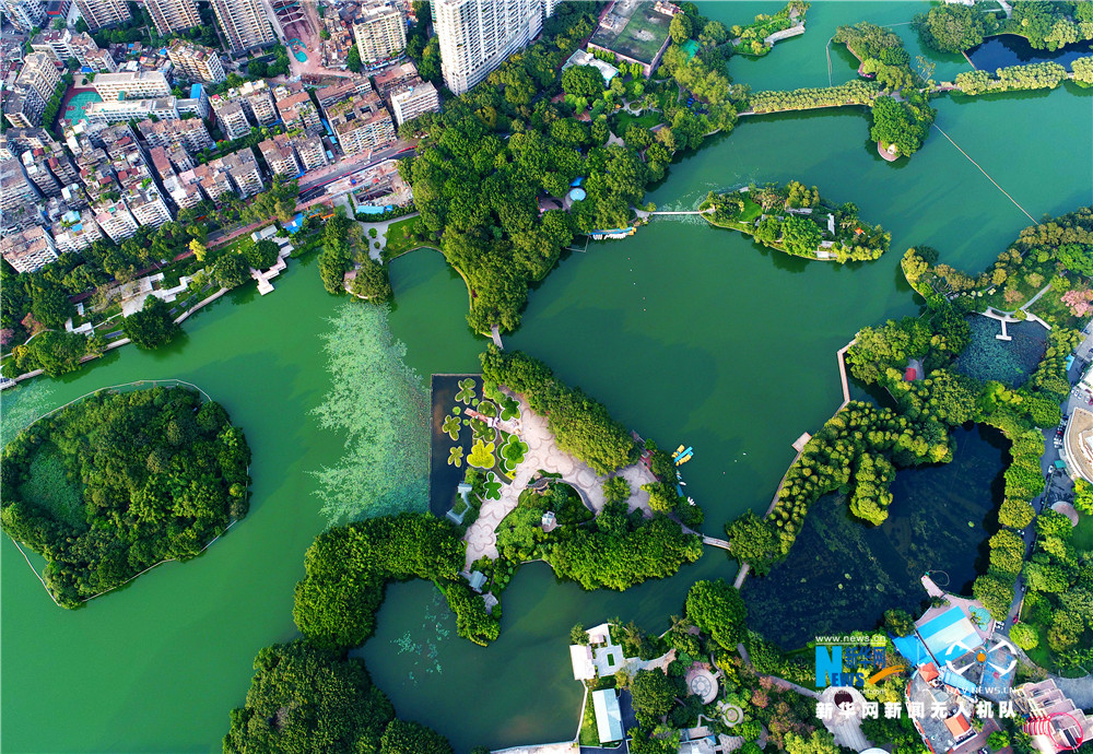 俯瞰流花湖公园,园内可见多个湖泊和绿岛.新华网发 蓝远峰摄