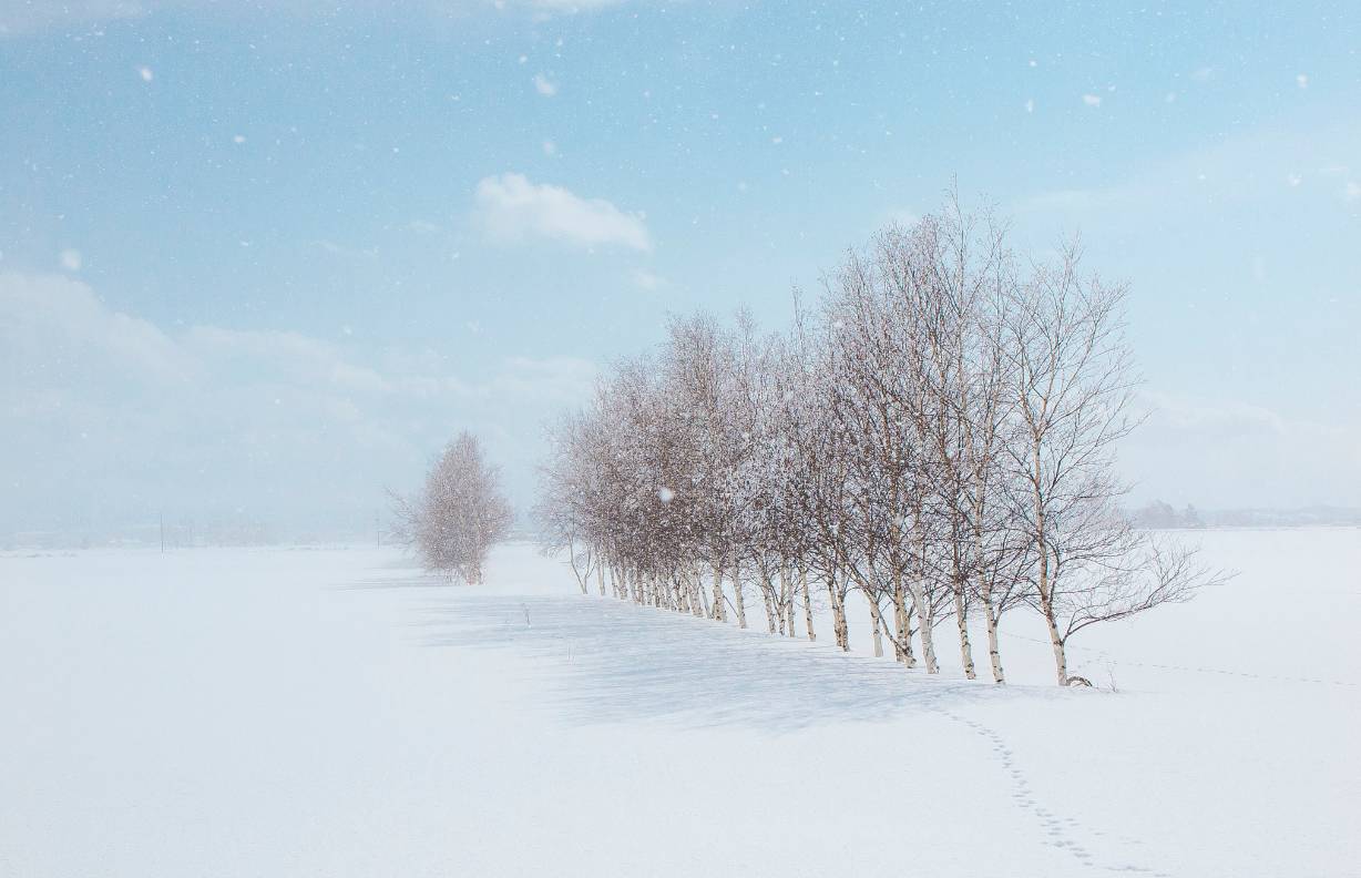 北海道高清图片