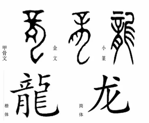 方式也随着文字的演变不断变化,从最早的甲骨文到现在的简体字"龙"