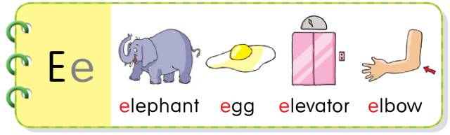 elephant大象egg鸡蛋elevator电梯elbow肘部观看下面的小视频,一边听