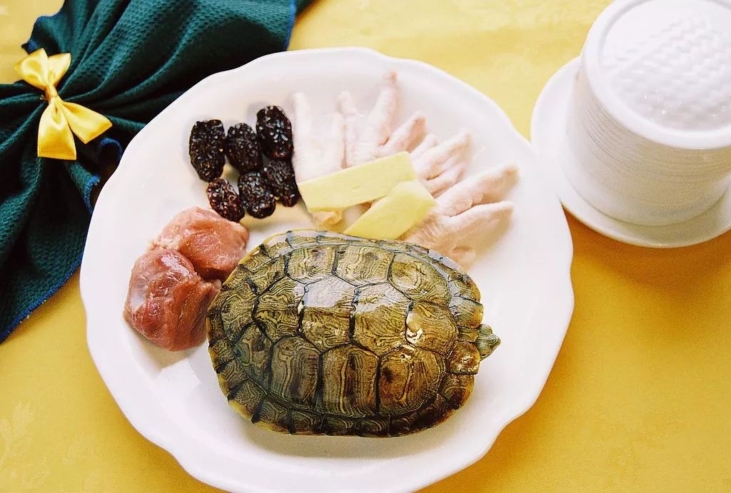 乌龟肉,汤都是传统美食,一向被人们当作美味佳肴,而且又是高蛋白,低