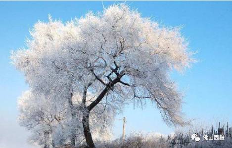 描写广东的冬天