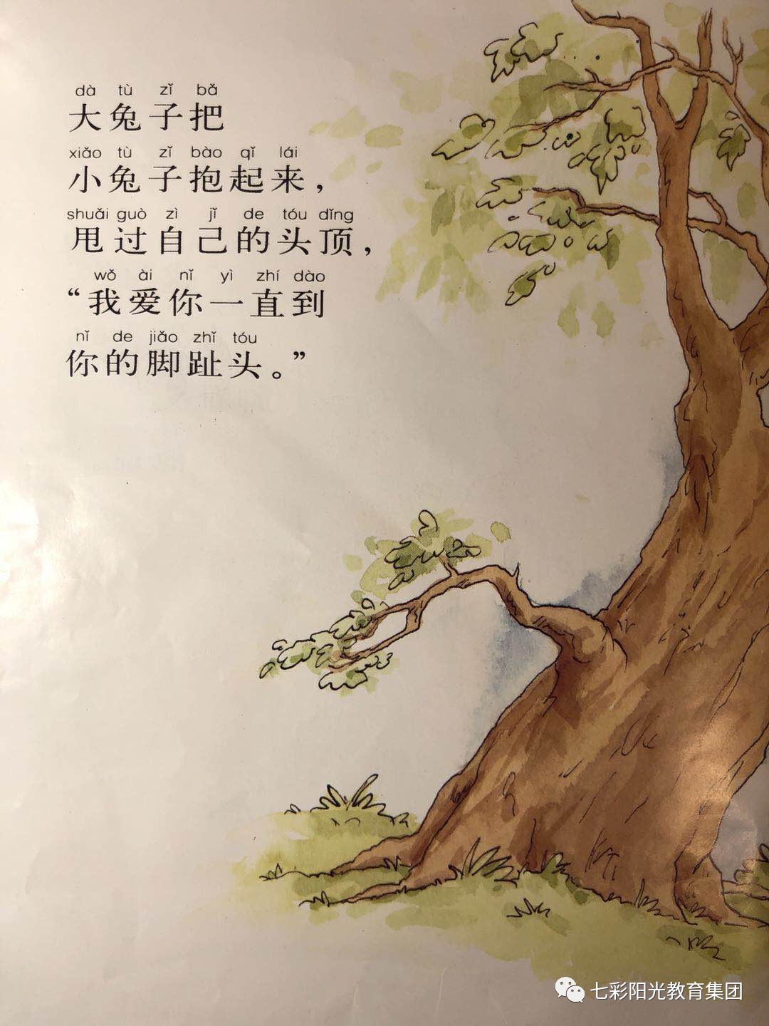 大兔子把小兔子抱起来,甩过自己的头顶,"我爱你一直到你的脚趾头."