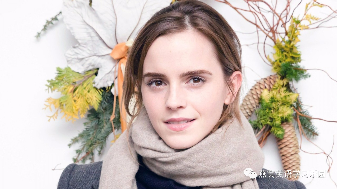 艾玛·沃特森(emma watson)联合国演讲