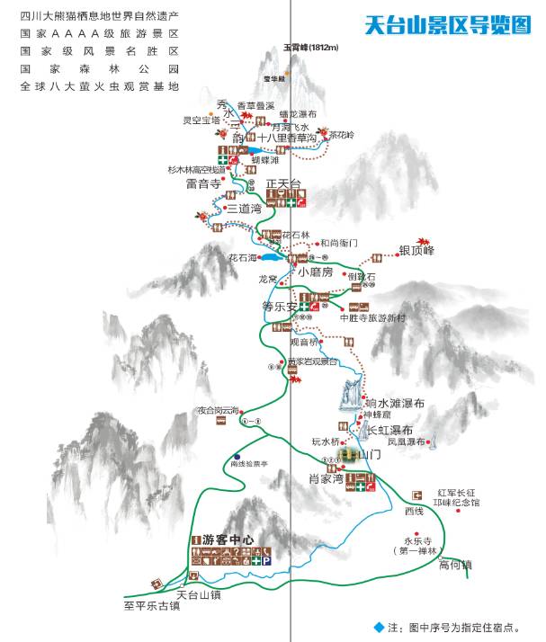 天台山景区的野生山茶花是西部规模最大,平均树龄最长的,已被列入成都