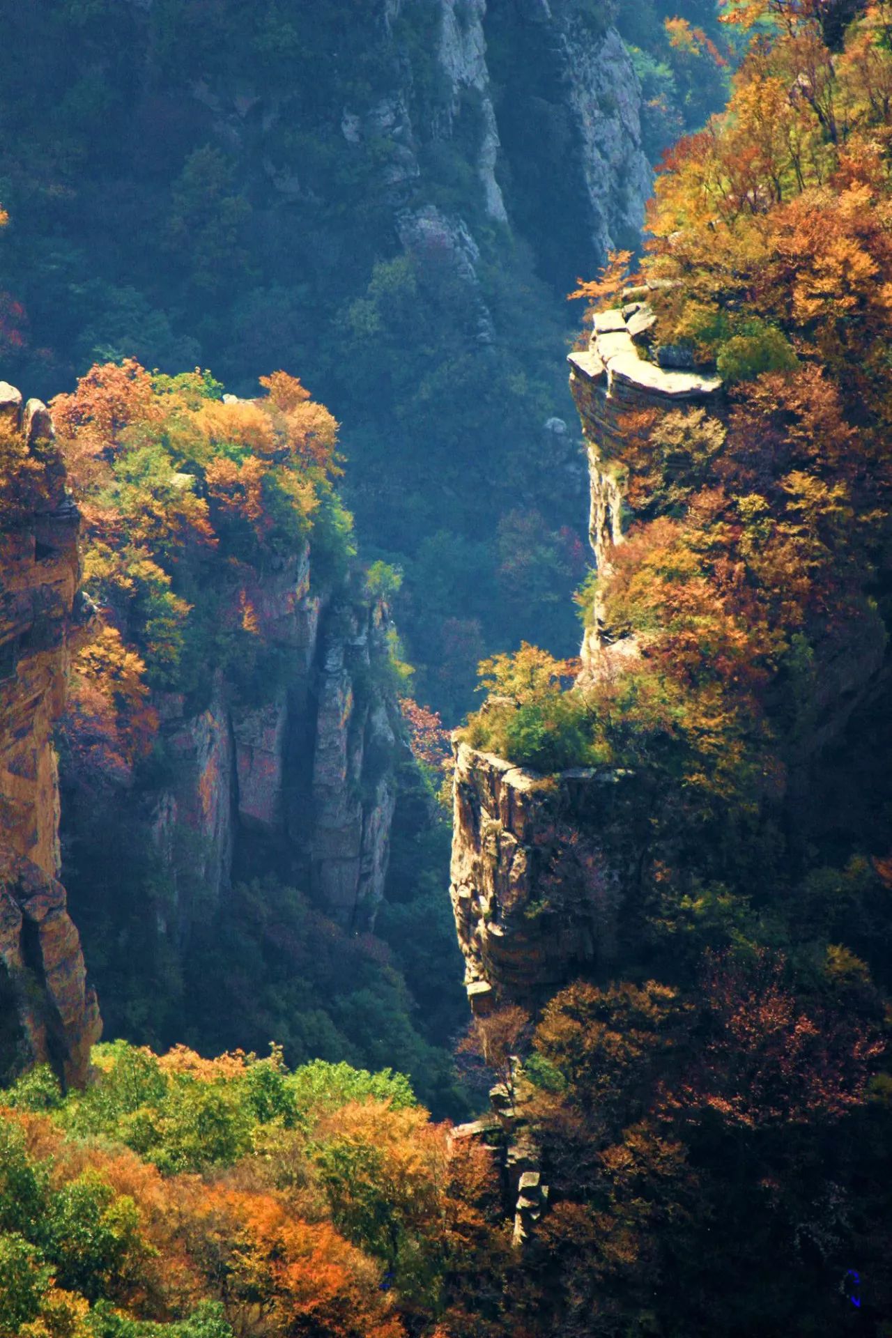 【美丽阜平】千峰山风光