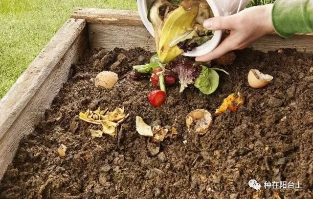 生活中哪些废材可以自制有机肥