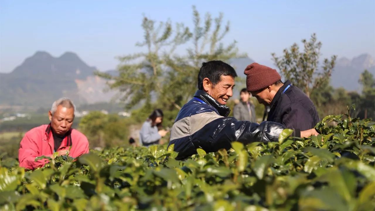 技能培训再出发 农村就业不是梦