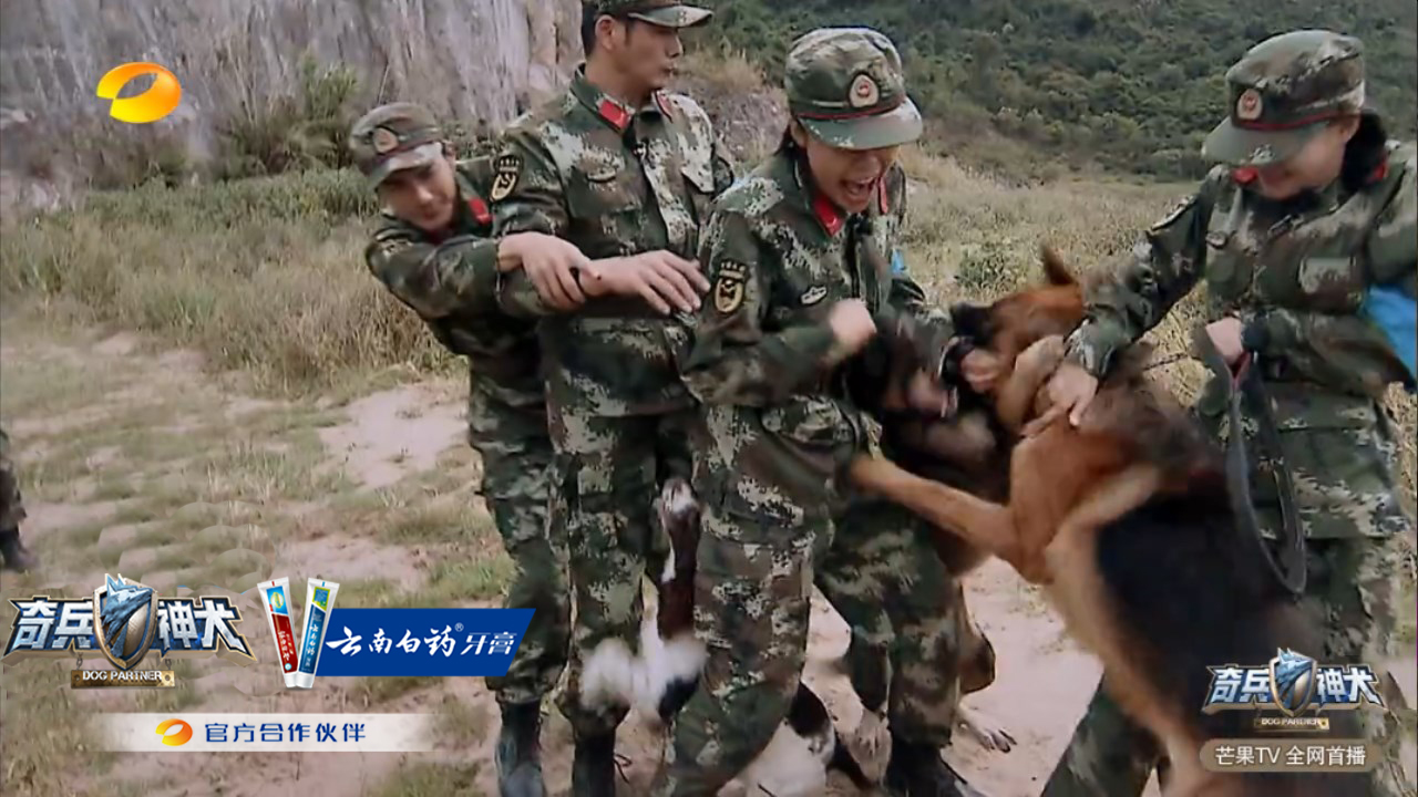 《奇兵神犬》训练难度再升级,杨烁张馨予姜潮矛盾频发!