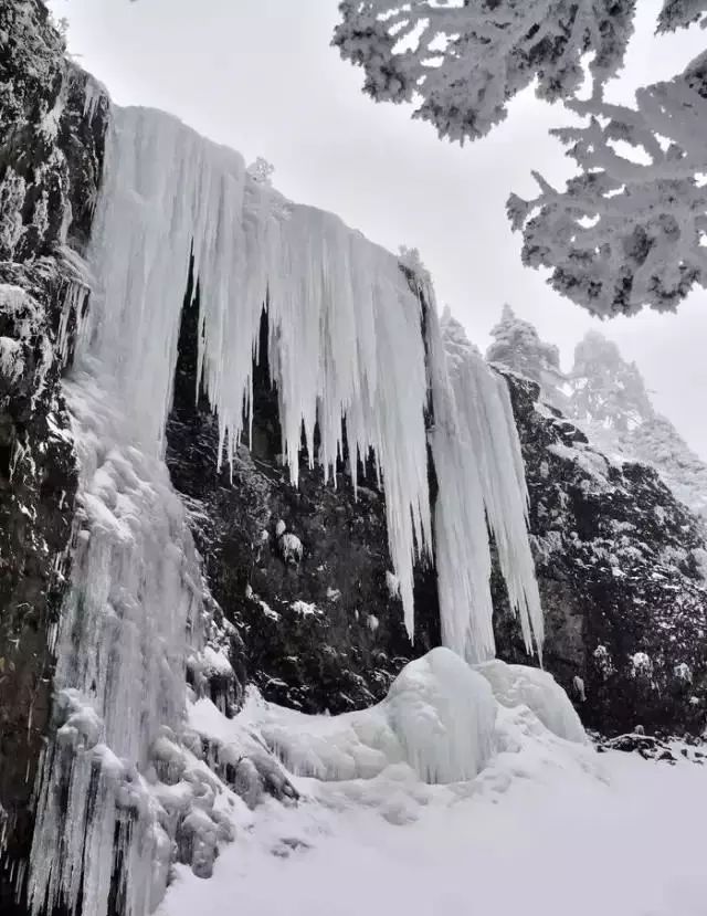 云南轿子雪山上的雪景,美得像梦里的童话世界!这个元旦一起出发吧