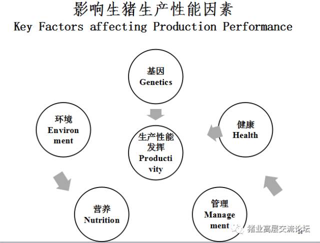 人口pic_人口老龄化(2)