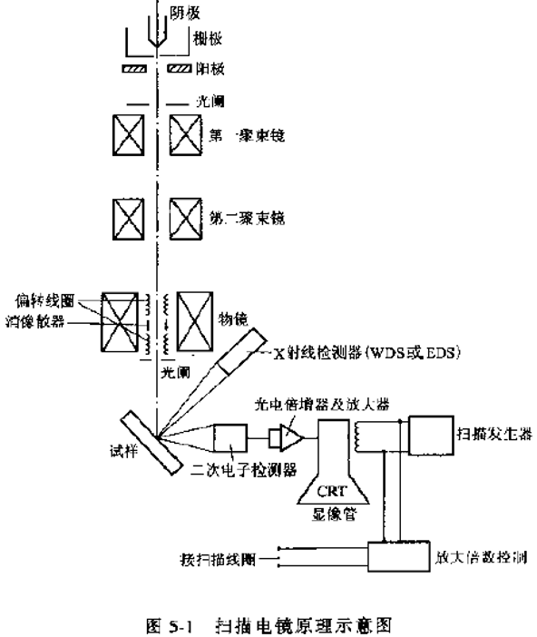 扫描电子显微镜的工作原理及应用