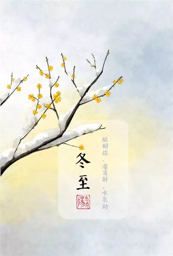 冬至| "花式饺子节",好运从今天悄悄开始