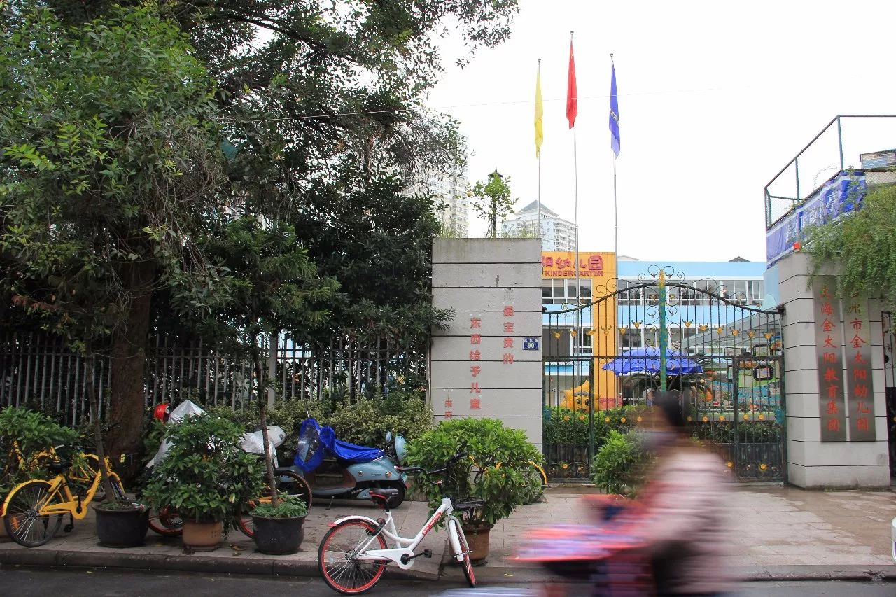 没变的是校门口的树我就读的永东路小学,在街路中段.