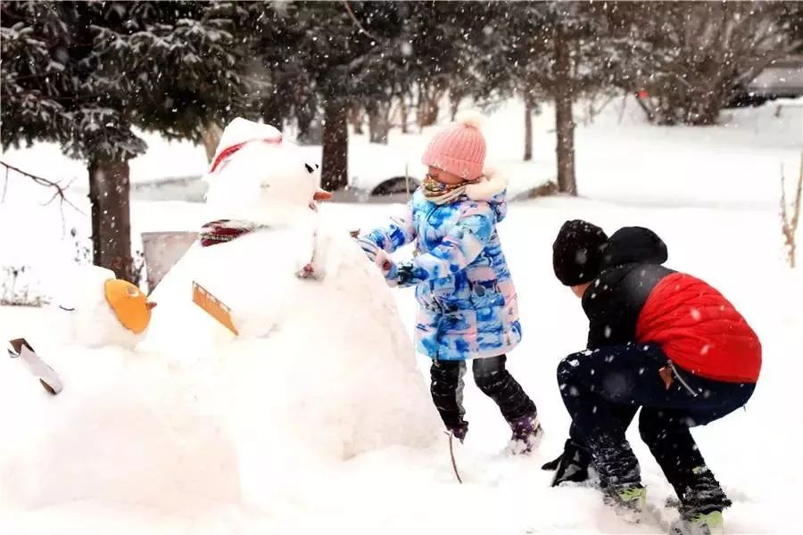 堆雪人无疑是我们南方孩子的最大梦想之一!