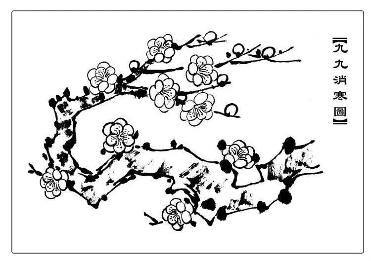 此外,还有采用图画版的九九消寒图,又称作"雅图",是在白纸上绘制九枝