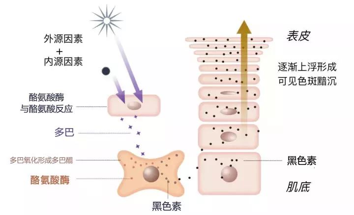 内因和外因的原理_简述内因与外因辩证关系原理的内容(2)