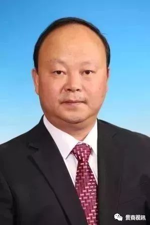 贵州省贵商总会第一次会员大会举行 兴伟集团董事长王伟当选为会长